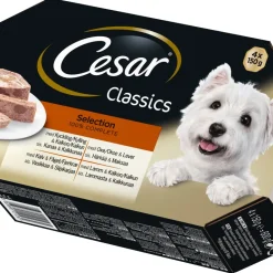Blötfoder Cesar