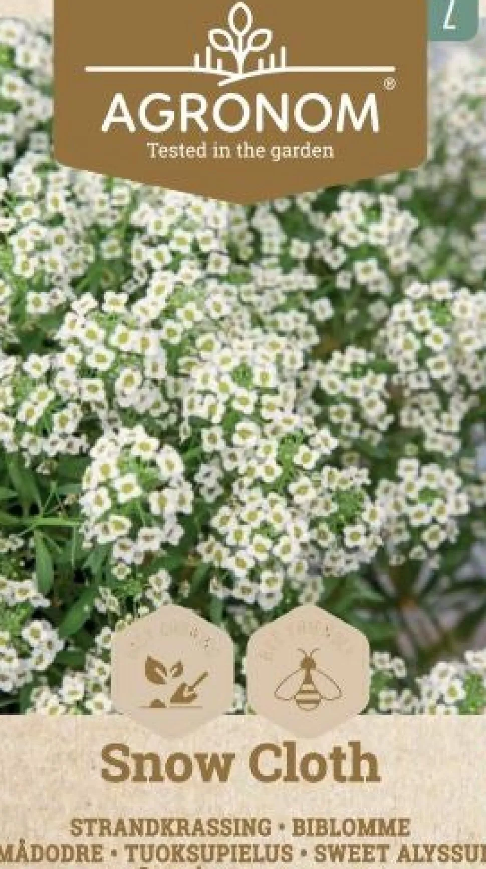 Frö Alyssum Snow