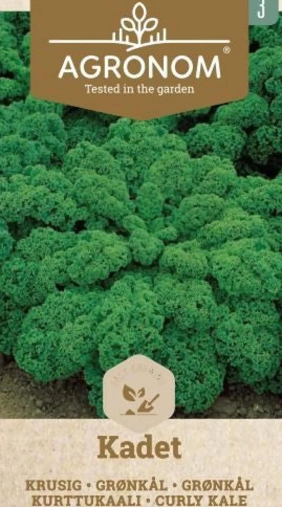 Frö Grönkål Kadet