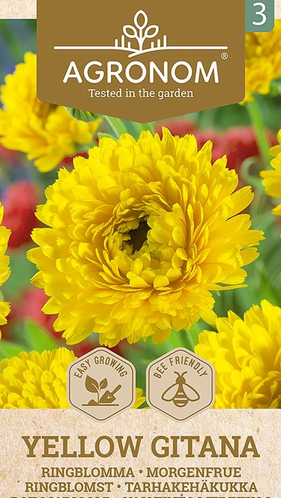 Frö Marigold Gul
