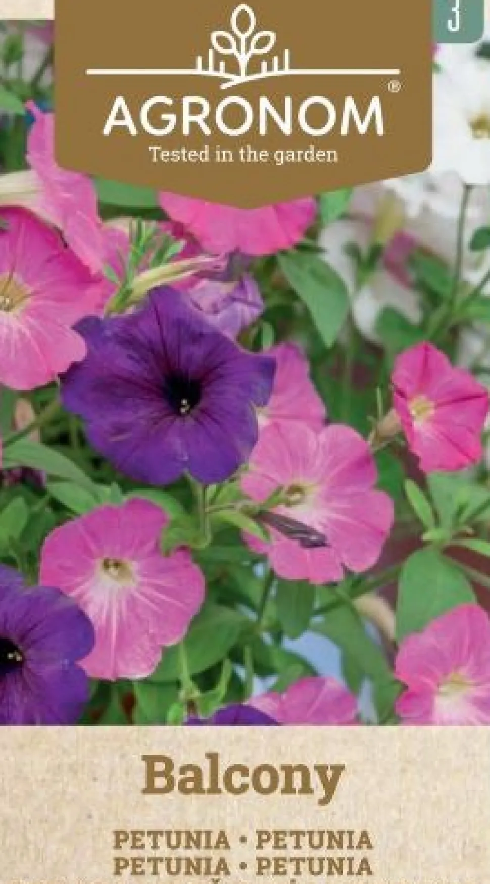 Frö Petunia