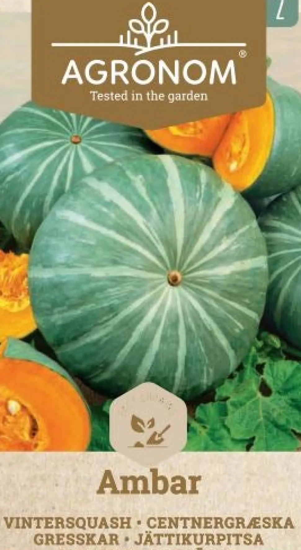 Frö Pumpa Ambar