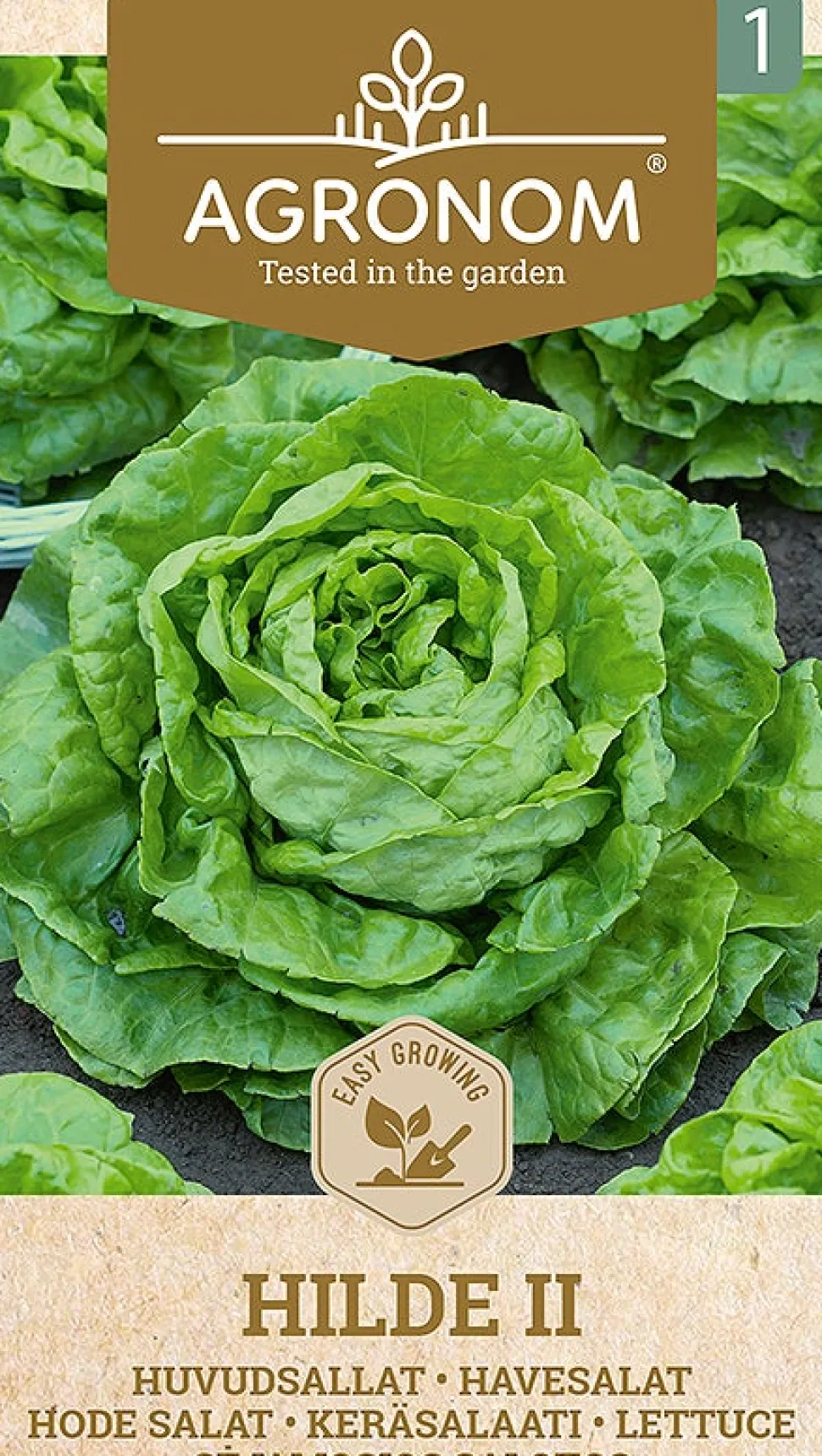 Frö Sallad Hilde