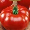 Frö Tomat Marmande