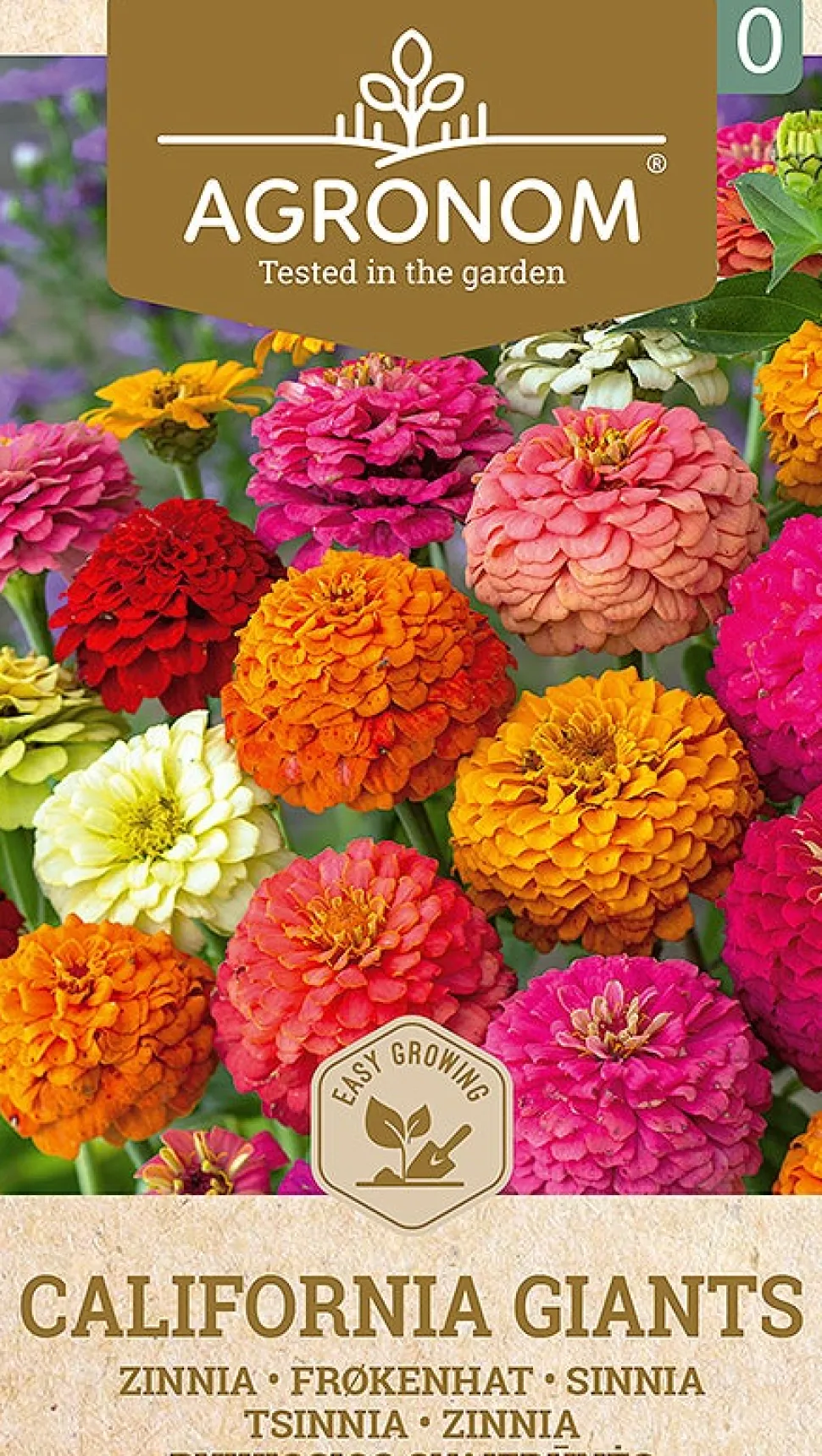 Frö Zinnia California