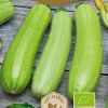 Frö Zucchini Di Faenza