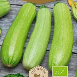 Frö Zucchini Di Faenza