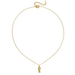 Halsband