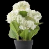 Konstväxt Hortensia