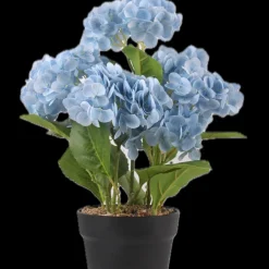 Konstväxt Hortensia