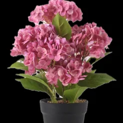 Konstväxt Hortensia