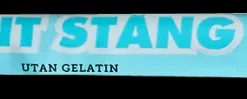 Mintstång