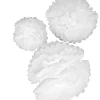 Pompoms