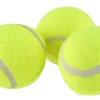 Träningsboll