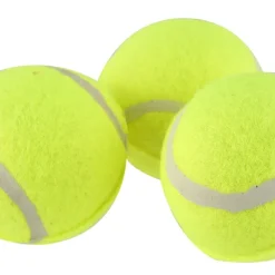 Träningsboll